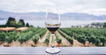 Napa Valley Limo Winery Tours